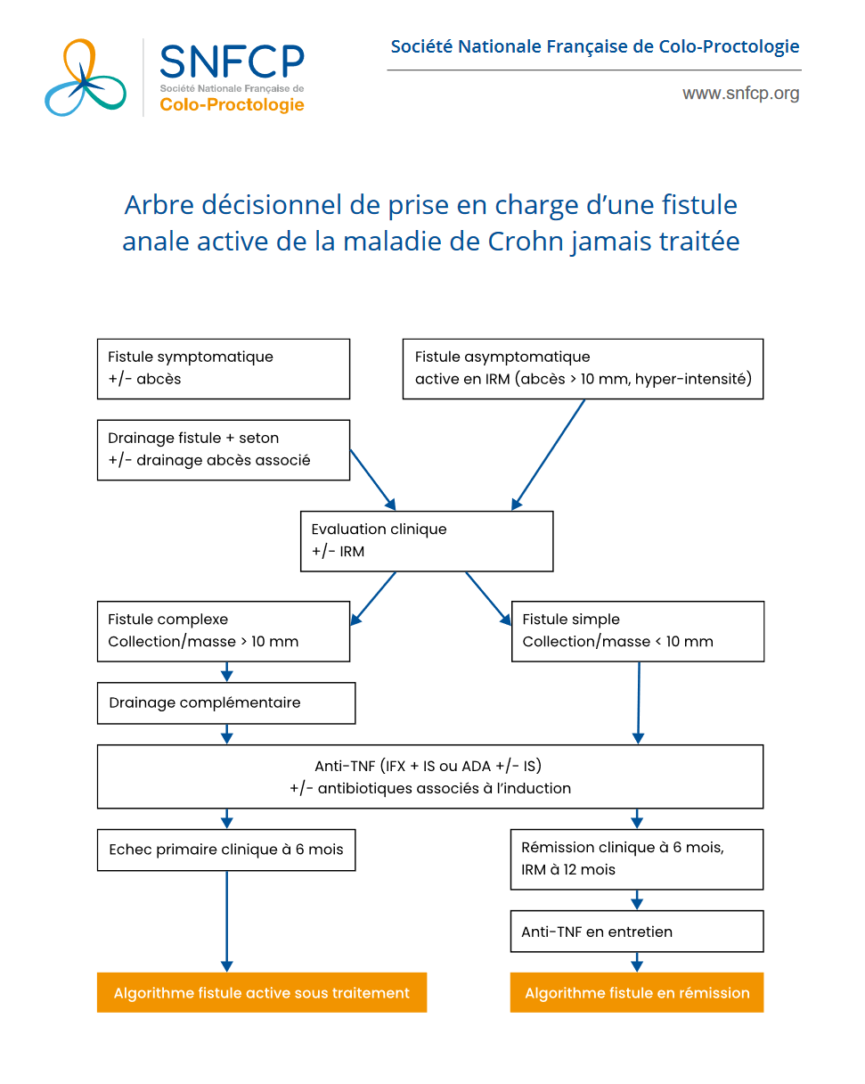 Capture d'écran 2023-11-02 193205.png