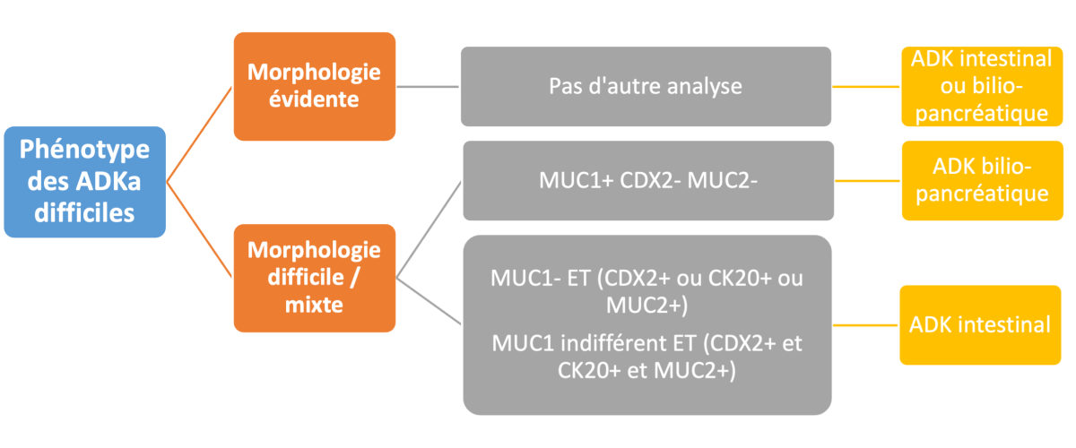 tncd_chap-19_algorithme1.png
