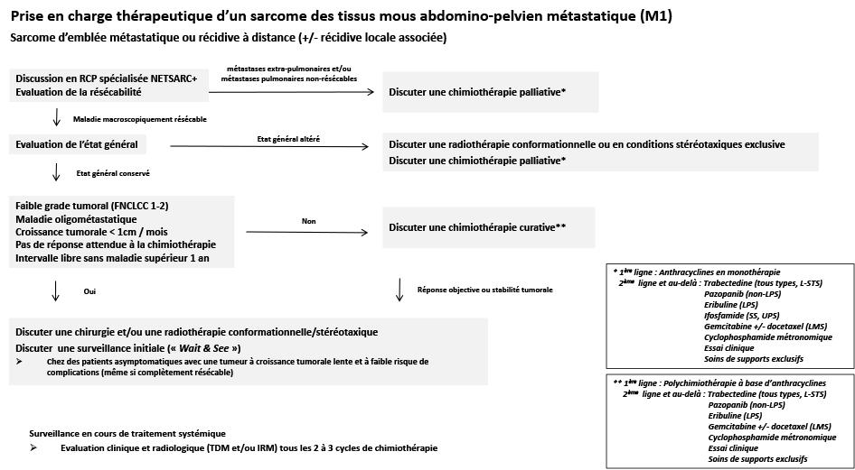 22.7.3. Prise en charge thérapeutique d’un sarcome des tissus mous abdomino-pelvien métastatique (M1)