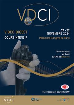 VDCI2024_Affiche