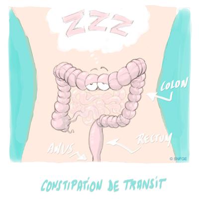 constipation_de_transit_illustration_o_juanati_-_c_snfge_bd.jpg