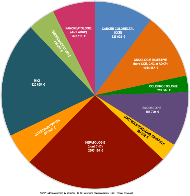 Bourses SNFGE_Camembert par thématique_2024.png