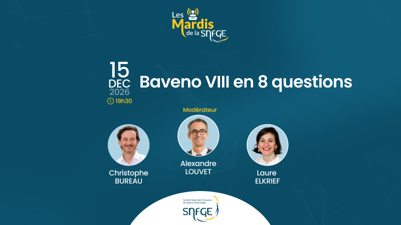 Visuel webinaire SNFGE 15 déc