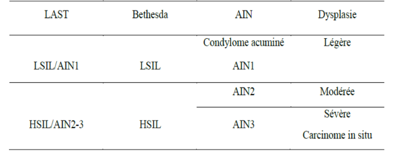Correspondance des terminologies utilisées dans les lésions induites par l'HPV au niveau anal
