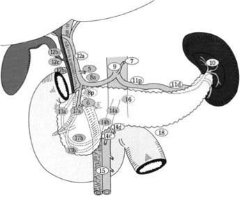 Figure 1 - Curage ganglionnaire recommandé en cas de duodéno-pancréatectomie céphalique (DPC) (relais grisés) (Tol et al., 2014)