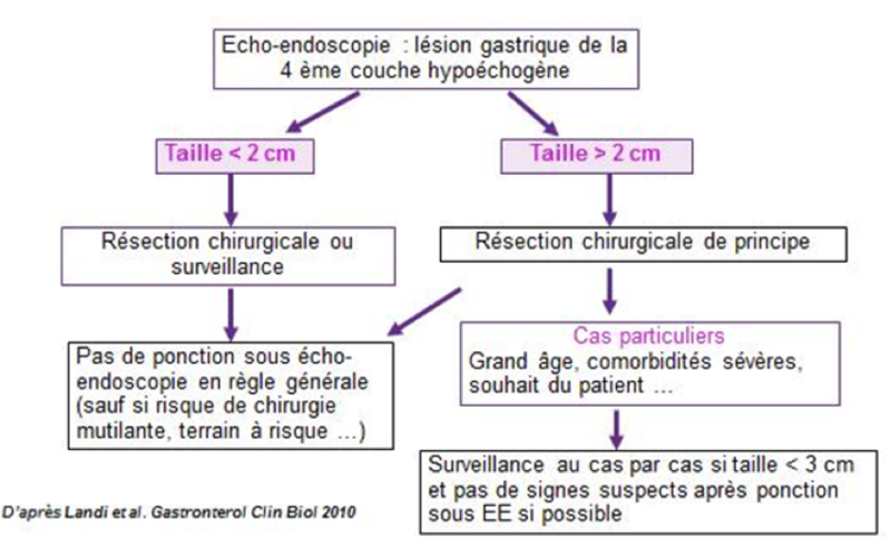 Annexe 2. Algorithme en cas de suspicion de GIST gastrique de petite taille (d’après réf 6.)