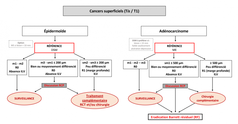 tncd_chap-01_arbre-1_hd.png