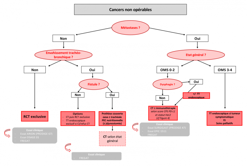 tncd_chap-01_arbre-3.png