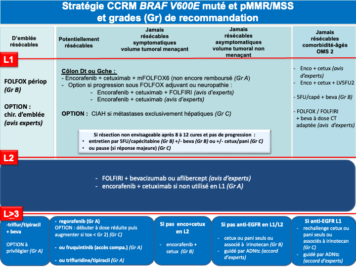 tncd_chap-04_Annexe-08_2025-07-16.png