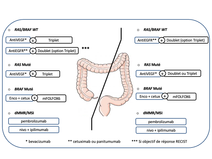 tncd_chap-04_Figure 1_2026-03-13.png