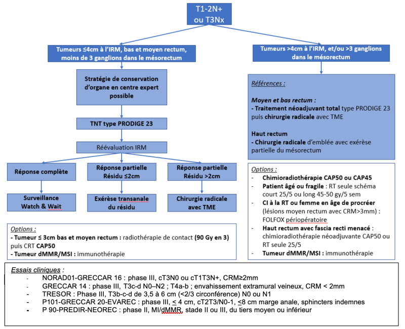 tncd_chap-05_Arbre-03_2025.png