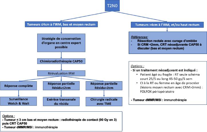 tncd_chap-05_arbre-02_2023.jpg