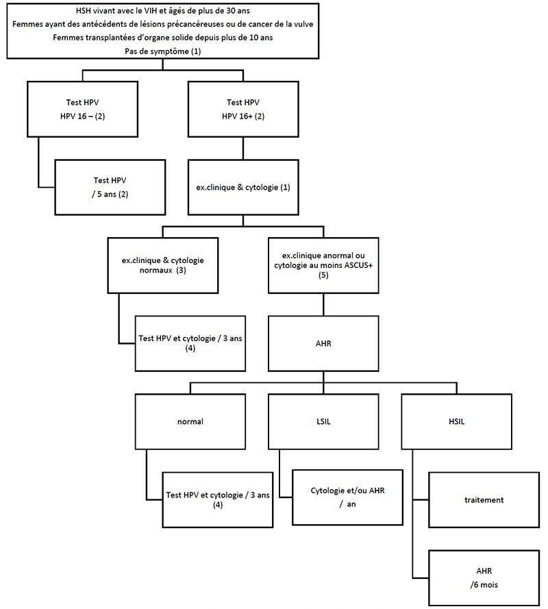 tncd_chap-06_Algorithme-1_2025.jpg