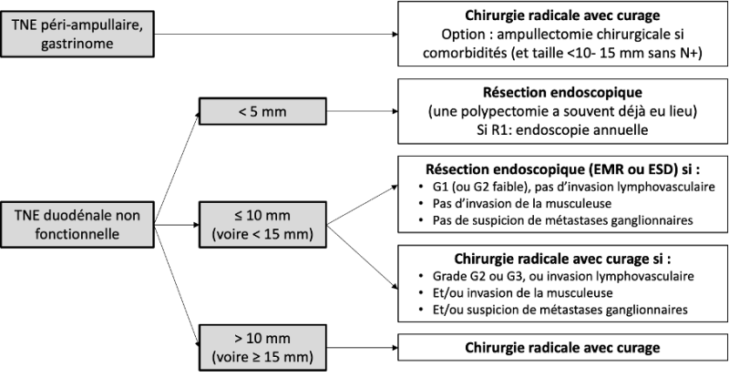EMR, mucosectomie endoscopique ; ESD, dissection sous-muqueuse endoscopique