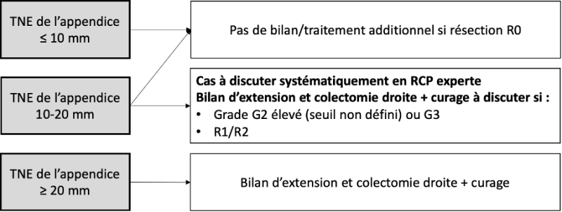 11.8.3. Algorithme de prise en charge des TNE de l’appendice non métastatiques