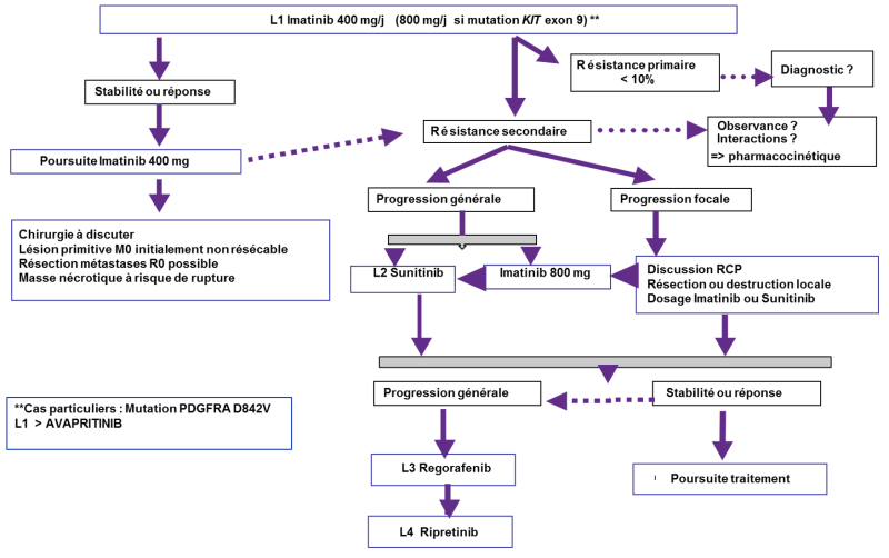 tncd_chap-12-gist_Annexe-4.png