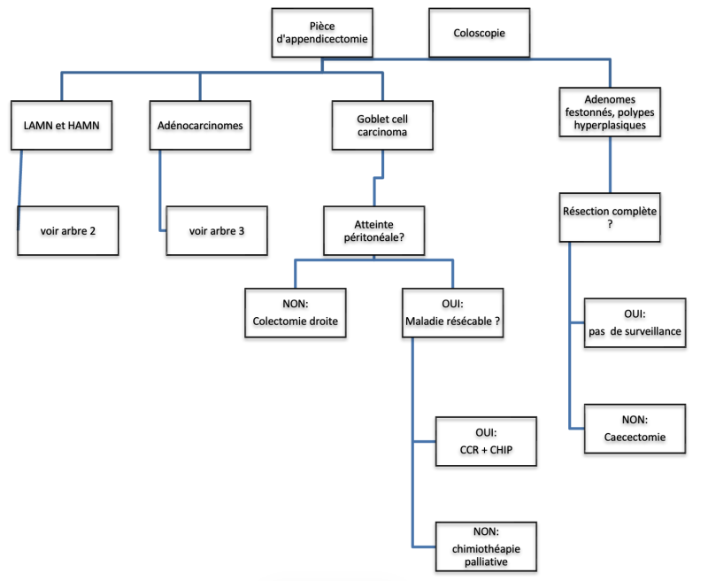 tncd_chap-14_Algorithme-01_2026-06-18.png
