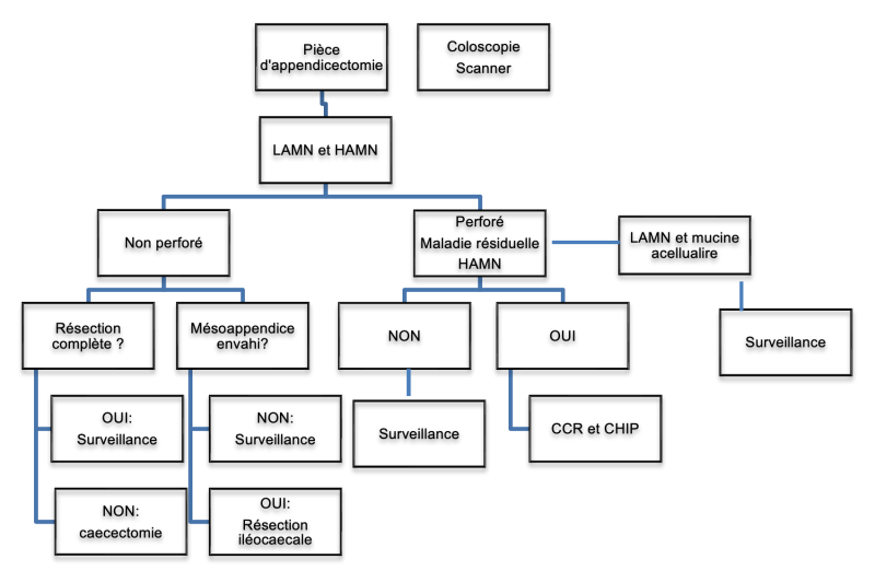 tncd_chap-14_Algorithme-02_2026-06-18.png
