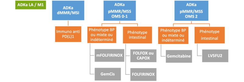 Algorithme des indications de chimiothérapie palliative en 1ère ligne