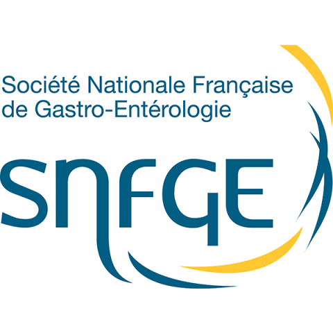Logo SNFGE